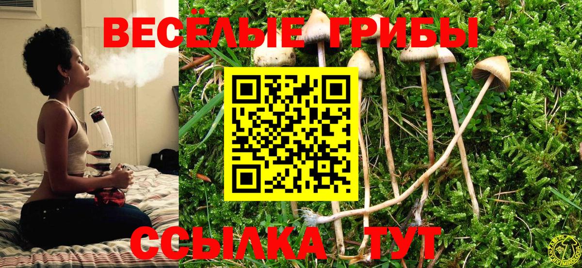 Калининград  Псилоцибиновые грибы мицелий  Вход с VPN  Псилоцибиновые грибы ЛСД 