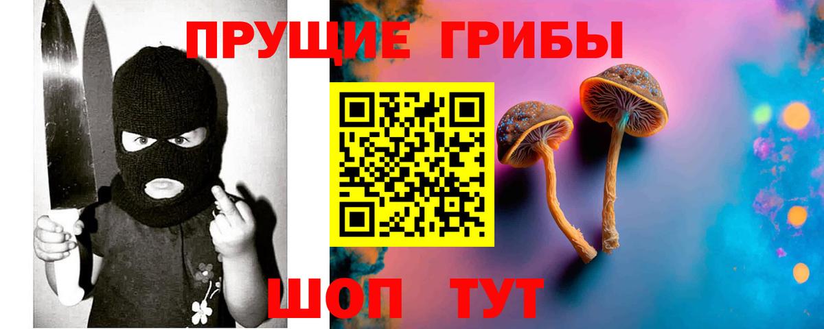 Псилоцибиновые грибы мухоморы Калининград