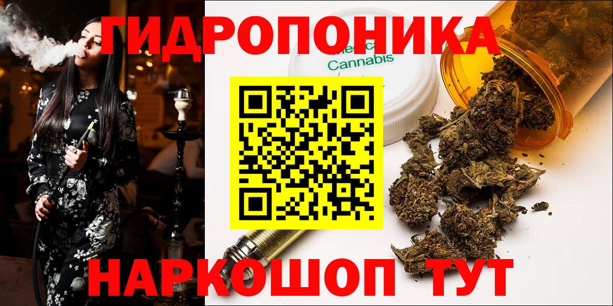 Каннабис индика  Канабис тримм  Каннабис OG Kush  Вход с VPN  Конопля ГИДРОПОН  Калининград 